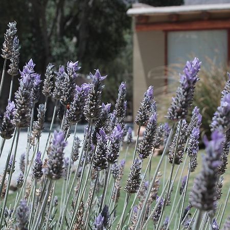Al Sereno Hotel Y Spa Tilcara Exteriör bild